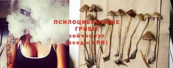 стаф Алексин