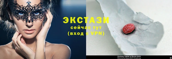стаф Алексин