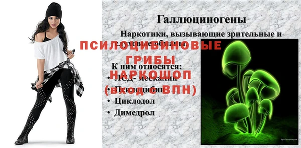 стаф Алексин