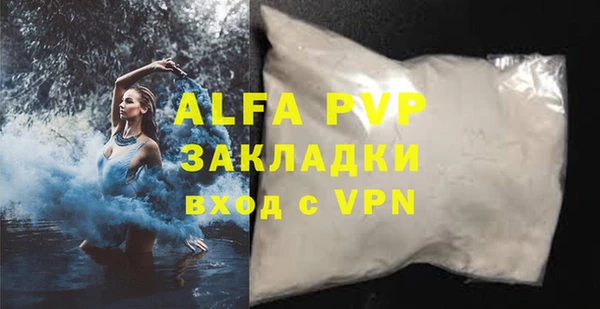 стаф Алексин